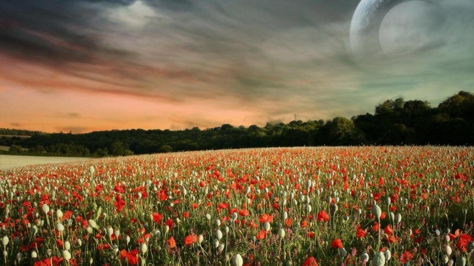 如何进入开源软件世界提升自己?